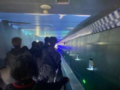 -白鹤梁水下博物馆