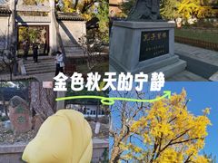 -苏州文庙(姑苏区)