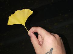 -颐和汤泉(敖汉店)