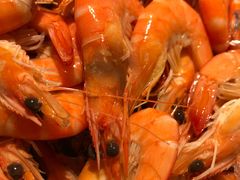 -味餐厅·海鲜·火锅·自助餐