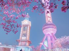 -陆家嘴中心绿地
