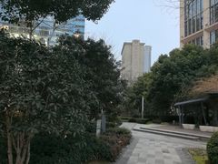 -金外滩国际广场