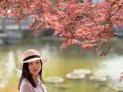 -常熟方塔园