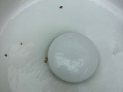 -牙博士口腔(杨浦店)