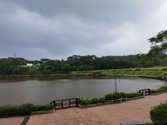 -东莞植物园
