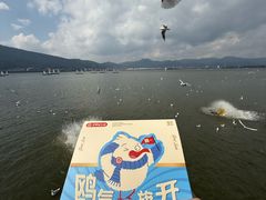 -昆明冠生园·蛋糕·面包(南强街店)