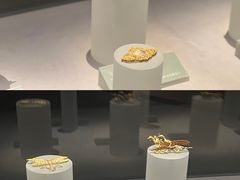 -大同市博物馆