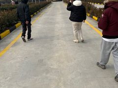 -安飞驰驾校·学车连锁(金高店)