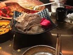 -辣伍鲜毛肚老火锅(元一店)