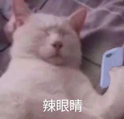 点击看大图 -久匠·纹眉纹绣半永久