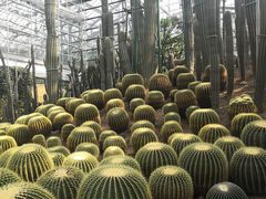 -南山植物园