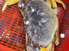 -醉湘厨艺(才华街店)