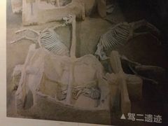 -洛阳周王城天子驾六博物馆