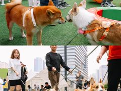 -东莞松山湖万象汇