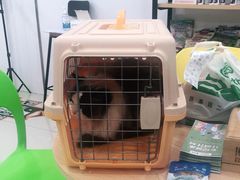 -佳雯宠物医院(四明中路分院)