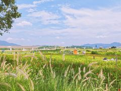 -光明小镇欢乐田园