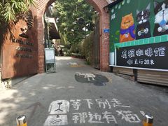 门面-有猫主题·治愈系猫咖(曾厝垵店)