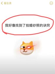 -二十一世纪婚纱摄影(省府前街店)