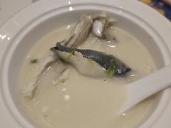 奶汤河豚鱼（位菜）-南湖春色海鲜食府(中兴街店)