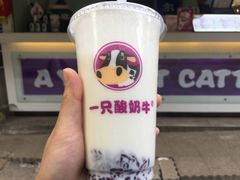 -一只酸奶牛(奎星楼店)
