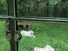 -西安秦岭野生动物园