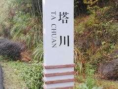 -塔川景区
