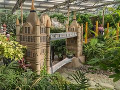 -南宫五洲植物乐园