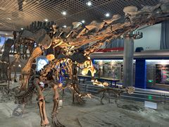 -国家自然博物馆