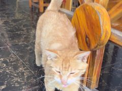 -鱼乐岛餐厅·户外花园主题餐厅