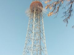 -大兴滨河森林公园