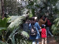 -北京植物园-展览温室