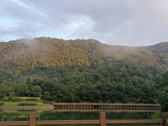 -桃花岭景区