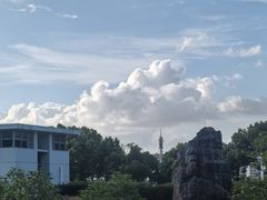 -东华大学(松江校区)