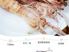 -蓝湾碧波·老字号·疍家非遗海上餐厅