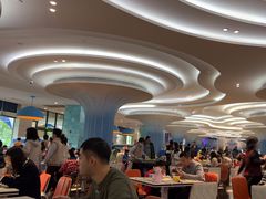 -帝企鹅自助餐厅•儿童岛•真企鹅(长隆企鹅酒店)