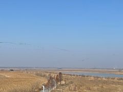 -盐城丹顶鹤湿地生态旅游区