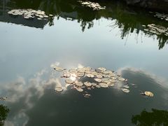 -苏州图书馆(人民路总馆)