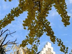 -成都南湖公园