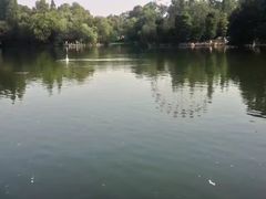 -淇河金沙滩