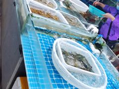 -王四营海鲜市场