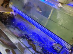 -大润发(梅兰东路店)