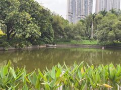 -广州珠江公园