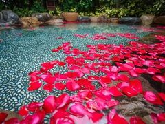 -厦门日月谷温泉渡假村