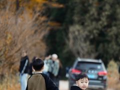-四明山国家森林公园