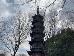 -上海佘山国家森林公园西佘山园