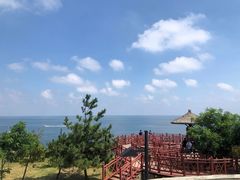 -养马岛旅游度假区