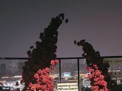 -烛影拾光观景餐厅·创意菜·摄影·小提琴(大唐不夜城店)