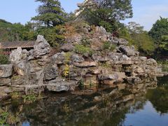 -顺峰山公园