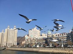 -川旺角川粤融合菜•海景餐厅(星海广场店)