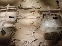 -洛阳周王城天子驾六博物馆